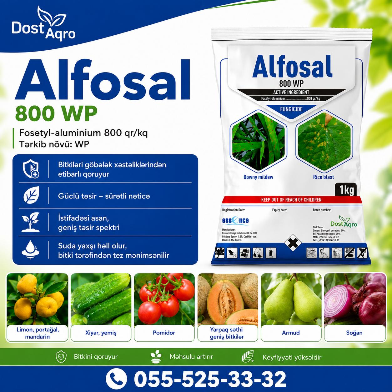 Dost Aqro