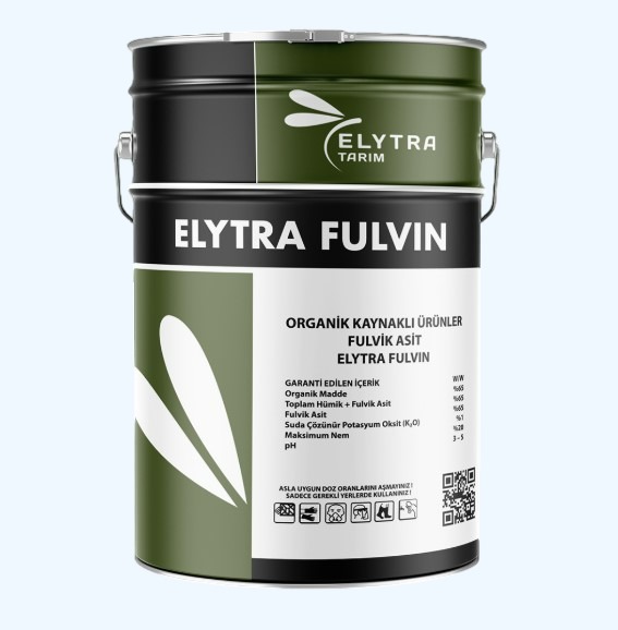 Elytra Fulvin