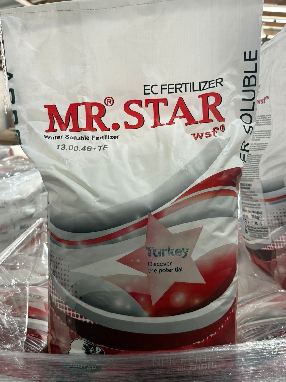 MR.STAR WSF  13.00.46+TE